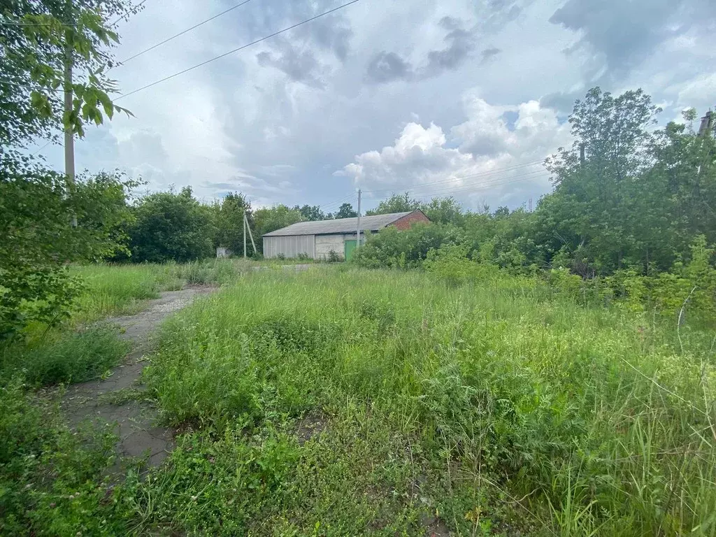 Помещение свободного назначения в Тамбовская область, Моршанск ... - Фото 2