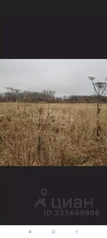 Участок в Пермский край, Краснокамский муниципальный округ, д. Большие ... - Фото 2