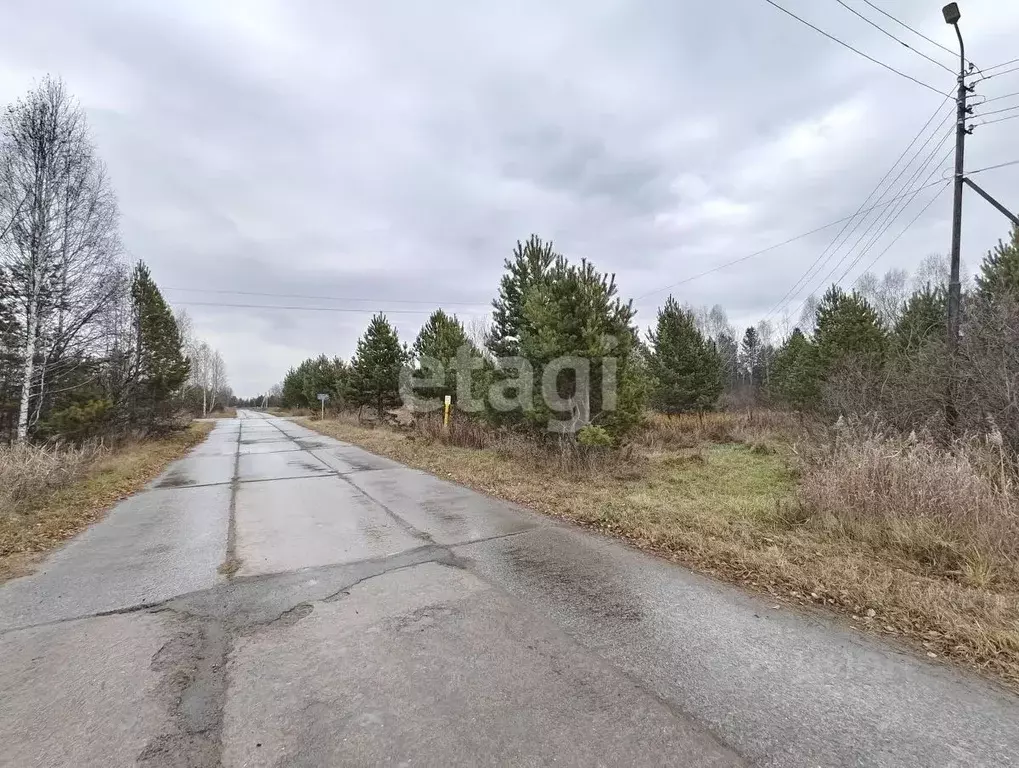 Участок в Тюменская область, Нижнетавдинский муниципальный округ, д. ... - Фото 2