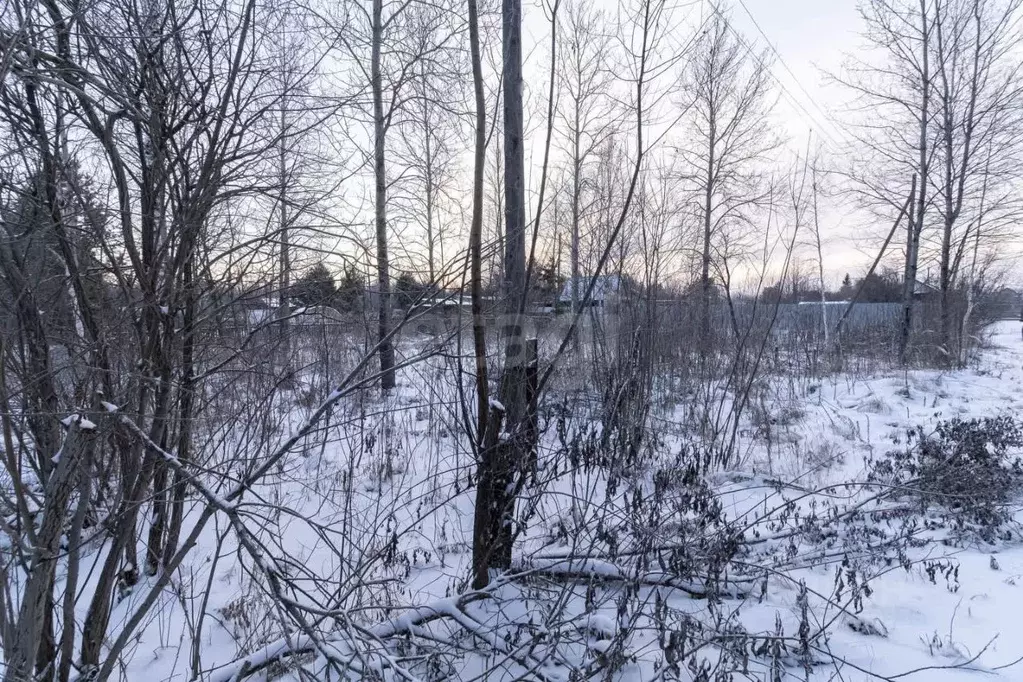 Участок в Тюменская область, Тюменский муниципальный округ, Нива СНТ ... - Фото 1