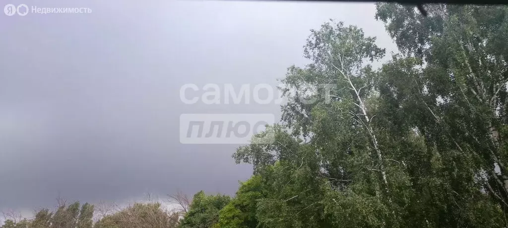 Участок в Липецк, СТ Строитель (8 м) - Фото 2