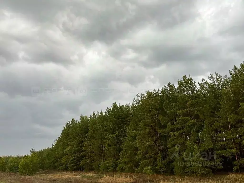 участок в татарстан, лаишевский район, с. егорьево зеленая ул, 17 . - Фото 0