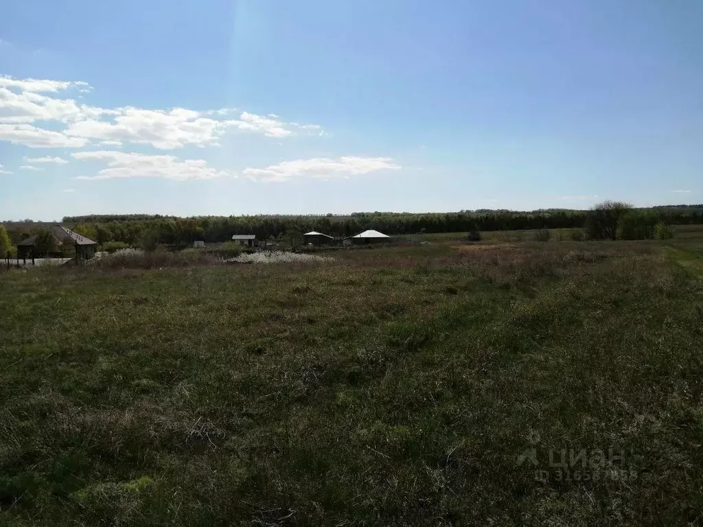 Участок в Саратовская область, д. Мергичевка ул. Степная, 32Б (20.0 ... - Фото 1