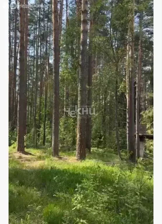 Участок в Нижегородская область, муниципальный округ Бор, деревня ... - Фото 2