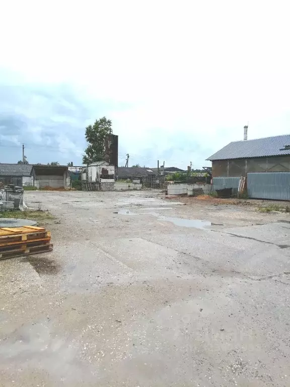 Производственное помещение в Рязанская область, Клепиковский район, ... - Фото 2