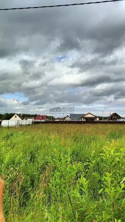 Участок в Новгородская область, Новгородский район, Савинское с/пос, ... - Фото 1