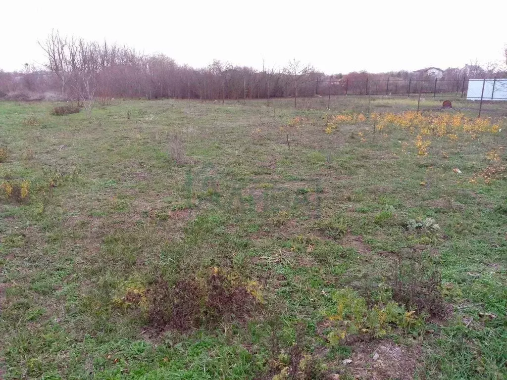Участок в Мясниковский район, Чалтырское сельское поселение, ... - Фото 2