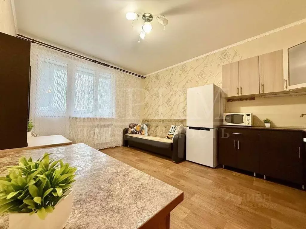 Студия Пензенская область, Пензенский район, Засечный сельсовет, с. ... - Фото 1