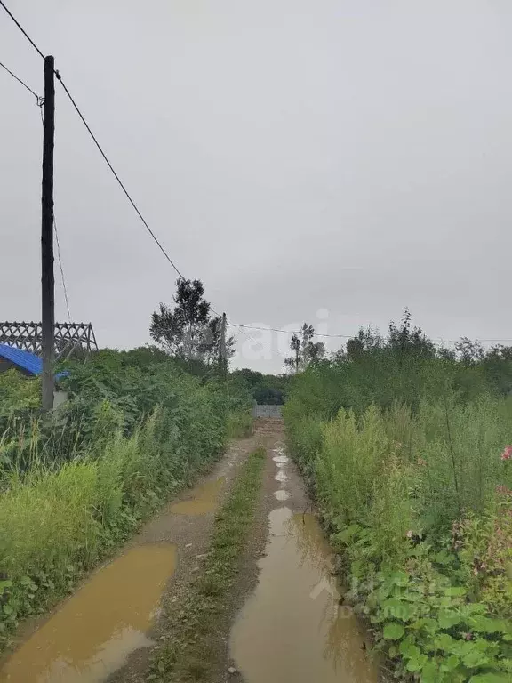 Участок в Сахалинская область, Южно-Сахалинск Майское СНТ,  (15.0 ... - Фото 0