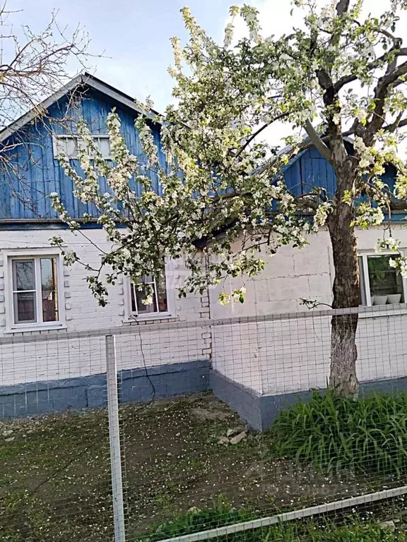 Дом в Воронежская область, Анна пгт ул. Энгельса, 55 (62 м) - Фото 1