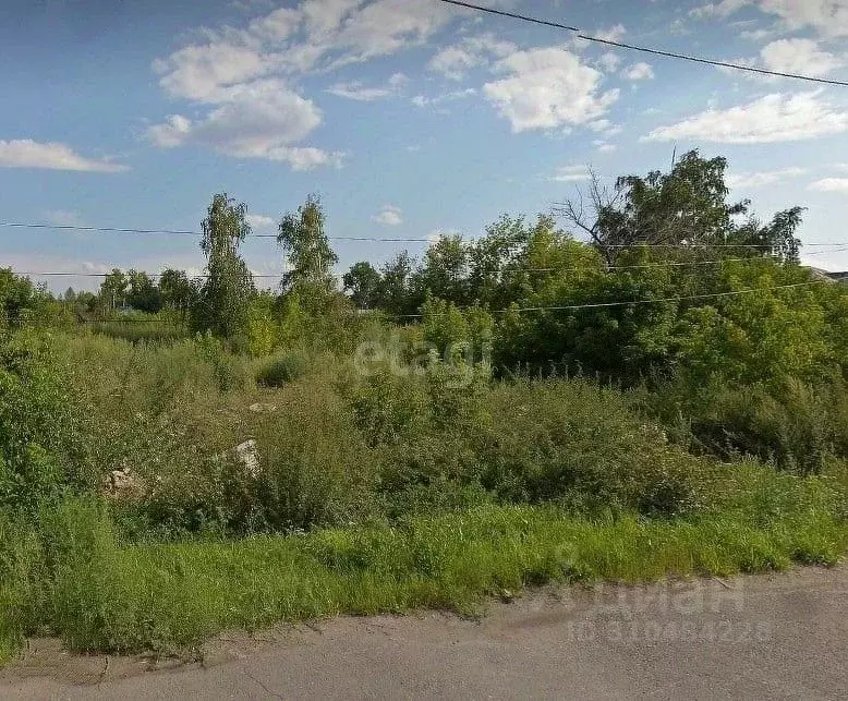 Участок в Алтайский край, Солонешенский район, с. Лютаево  (3500.0 ... - Фото 0