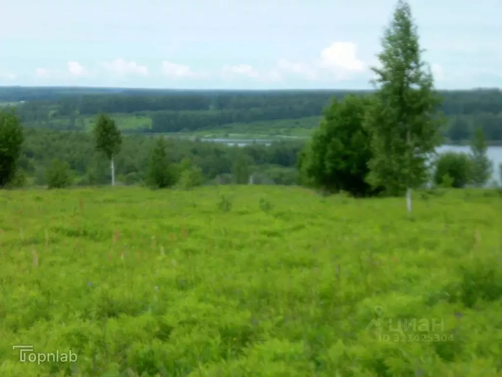 Участок в Тульская область, Тула городской округ, д. Долгое  (12.0 ... - Фото 2