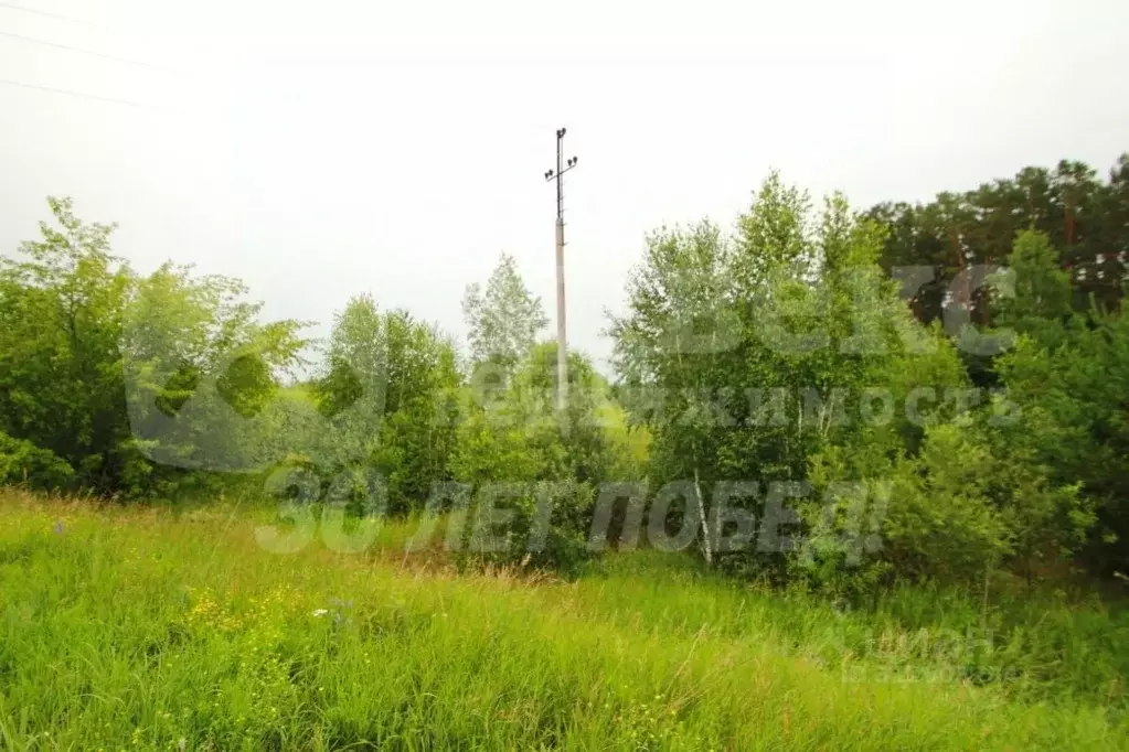 Участок в Тюменская область, Ялуторовский район, с. Памятное  (4751.62 ... - Фото 2