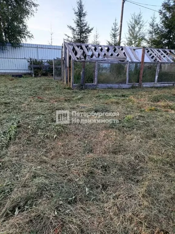 Участок в Ленинградская область, Новая Ладога Волховский район, Нептун ... - Фото 1