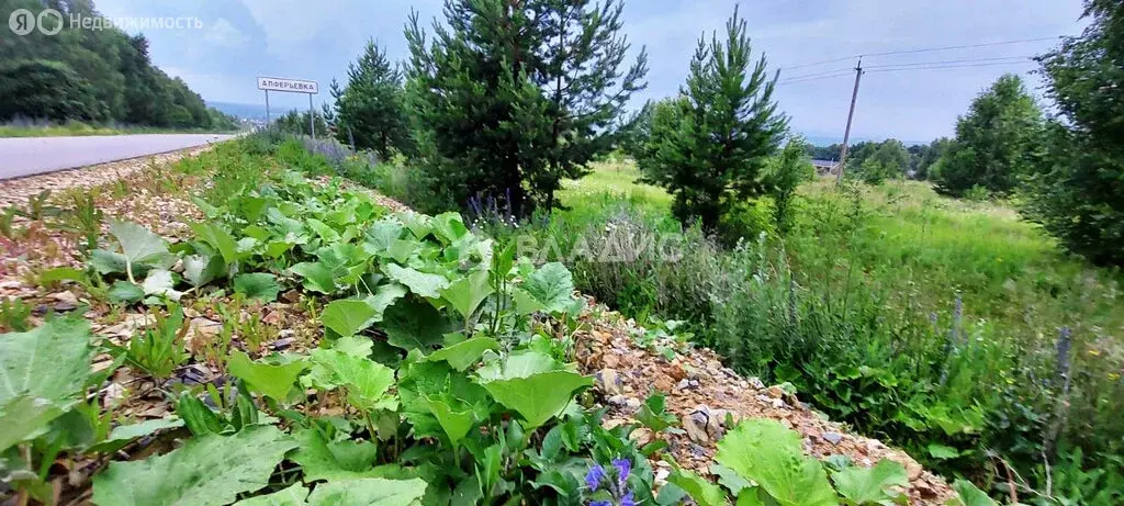 Участок в село Алферьевка, Шоссейная улица (12.42 м) - Фото 1