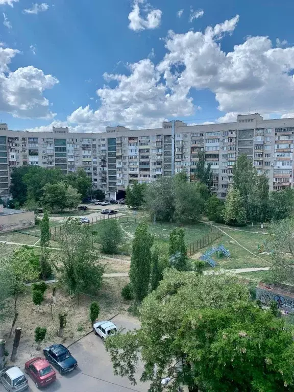 1-к кв. Волгоградская область, Волгоград ул. Николая Отрады, 30 (36.0 ... - Фото 1