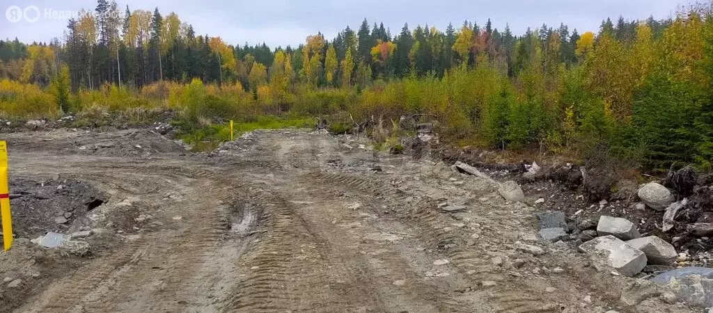 Участок в Петрозаводск, территория Древлянка-3, Звёздный микрорайон ... - Фото 1