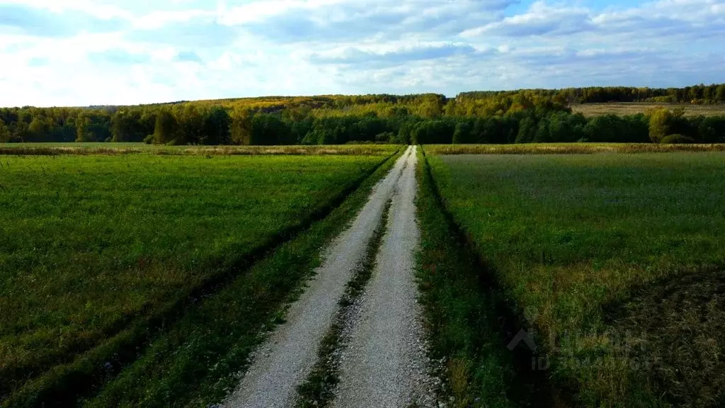 Участок в Тульская область, Заокский район, Страховское с/пос, д. ... - Фото 2