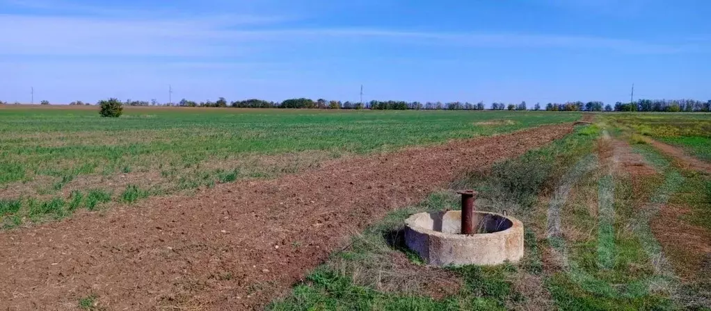 Участок в Крым, Сакский район, с. Добрушино  (100.0 сот.) - Фото 1