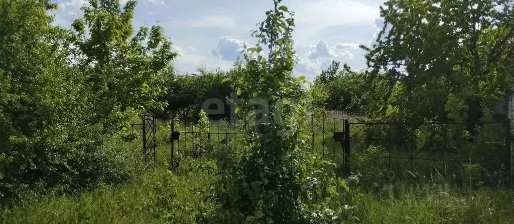 Участок в Белгородская область, Белгородский район, Дубовское с/пос, ... - Фото 0