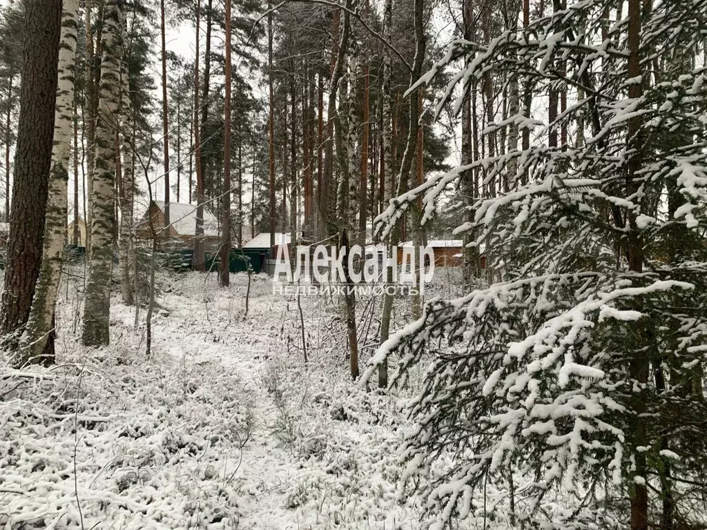 Участок 12 сот. (СНТ, ДНП) - Фото 1