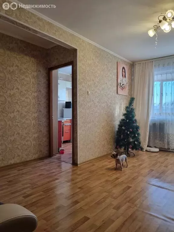 2-комнатная квартира: Кемерово, проспект Ленина, 113 (44 м) - Фото 0