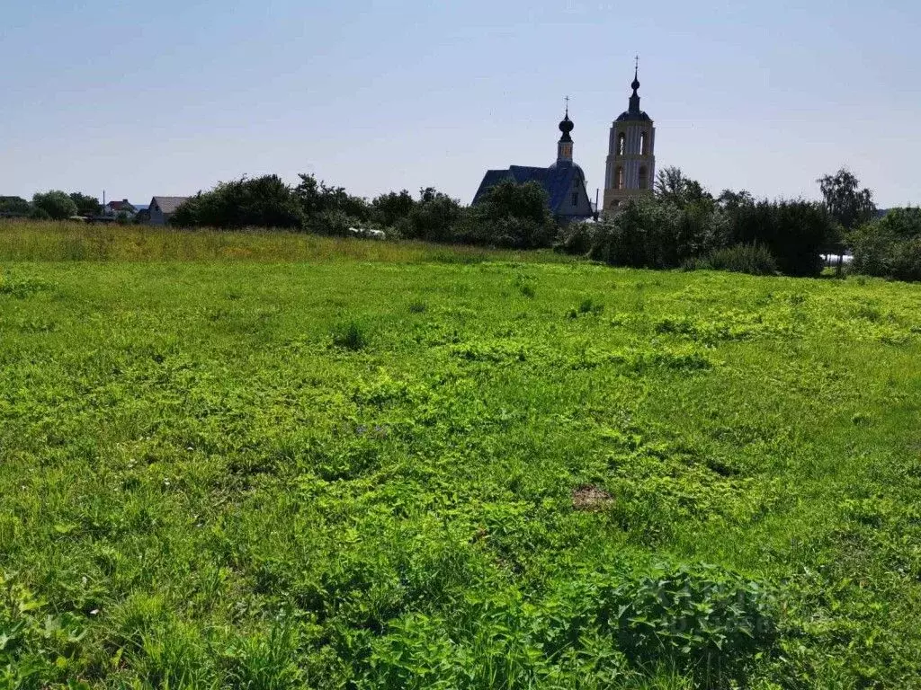 Участок в Владимирская область, Суздальский район, Павловское ... - Фото 1