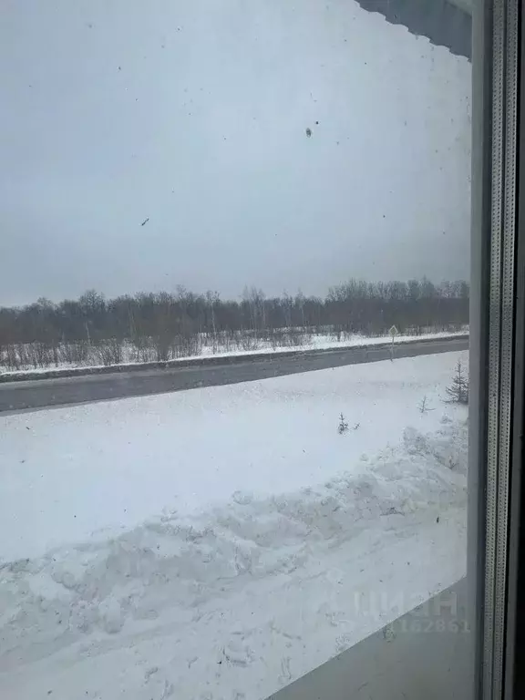Производственное помещение в Самарская область, Шентала ж/д_ст ул. ... - Фото 2