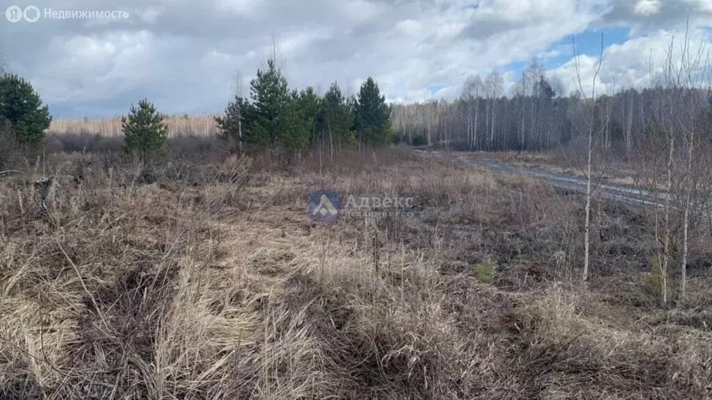 Участок в Нижнетавдинский район, деревня Штакульская (7.56 м) - Фото 1