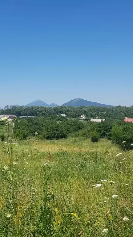 Участок в Ставропольский край, Предгорный муниципальный округ, ... - Фото 2