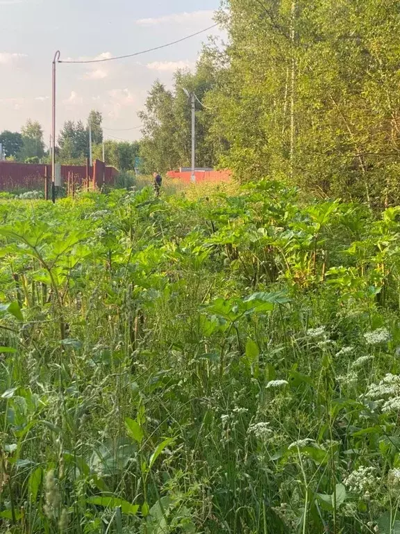 Участок в Московская область, Рузский городской округ, д. Костино  ... - Фото 1