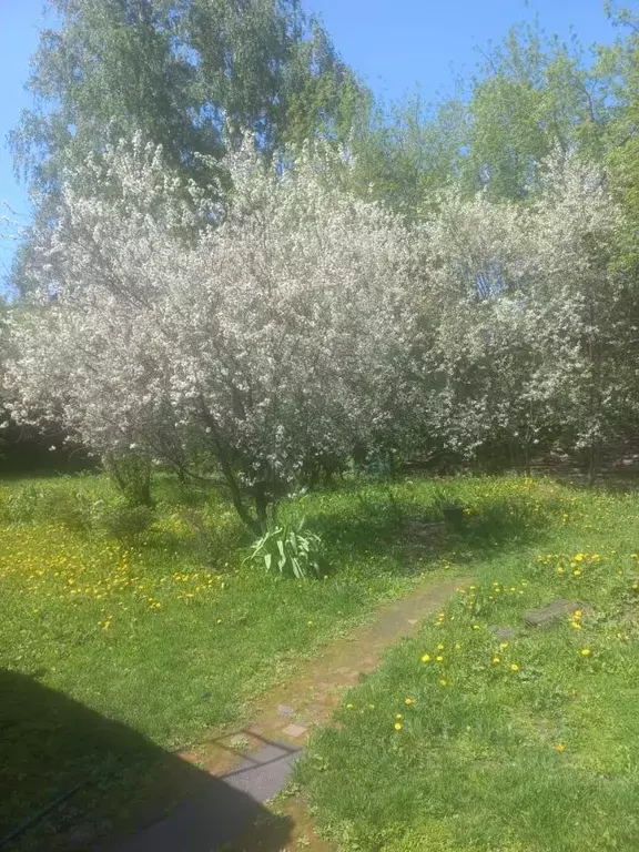 Дом в Новосибирская область, Новосибирск ул. Романова, 93А (27 м) - Фото 0