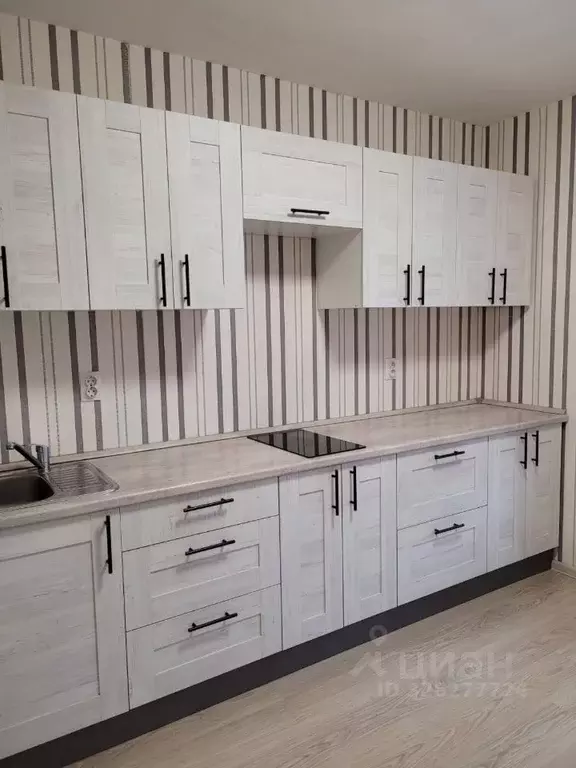 1-к кв. Ленинградская область, Мурино Всеволожский район, бул. ... - Фото 2