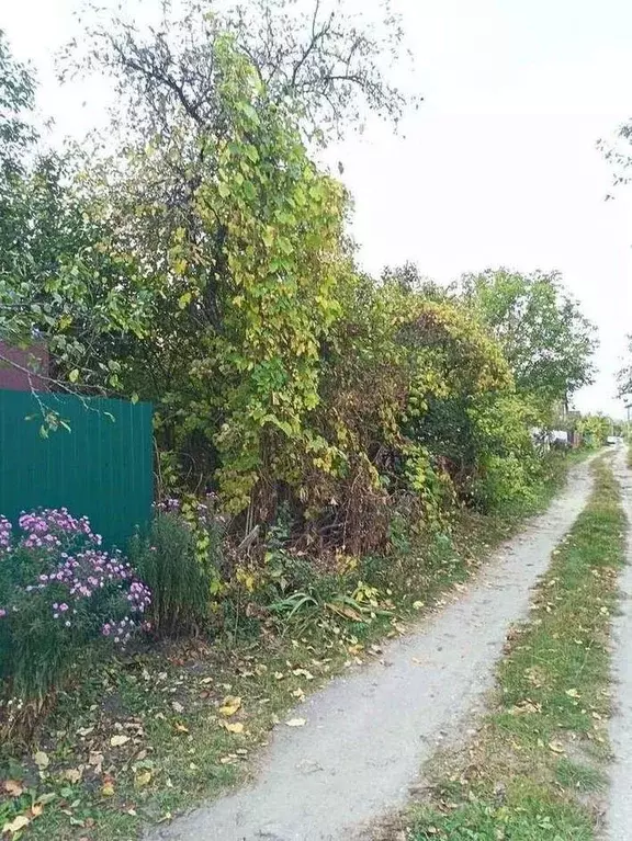 Дом в Курская область, Курский район, Новопоселеновский сельсовет, ... - Фото 2