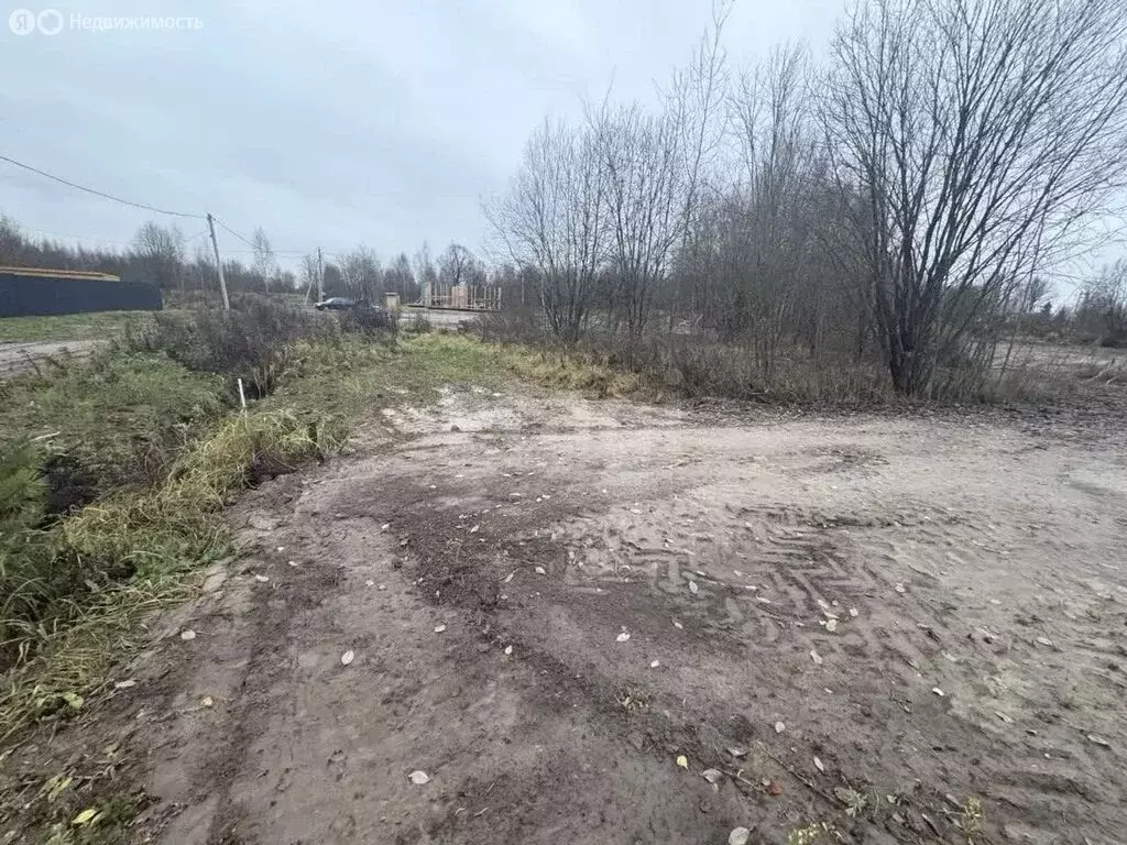 Участок в Ярославль, 3-й Голубятный переулок (7.05 м) - Фото 2