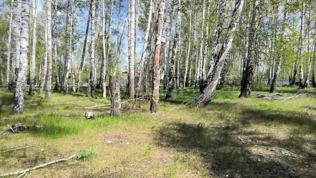 Участок в Свердловская область, Екатеринбург муниципальное ... - Фото 1