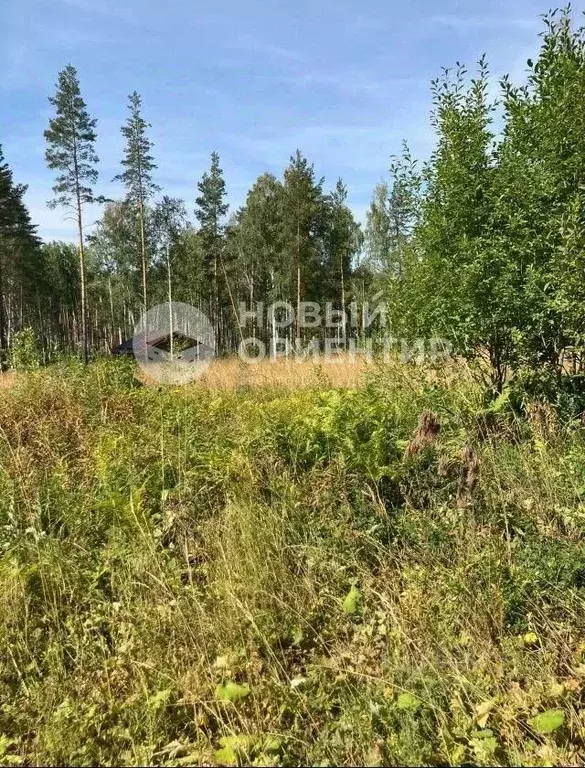 Участок в Свердловская область, Дегтярск ул. Российская (428.0 сот.) - Фото 0