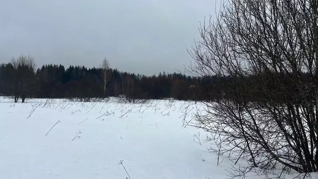 Участок в Московская область, Истра муниципальный округ, пос. ... - Фото 2