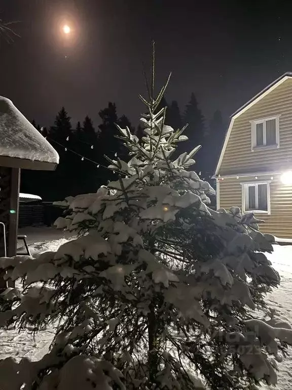 Дом в Карелия, Сортавальский муниципальный округ, пос. Вуорио 111 (108 ... - Фото 1
