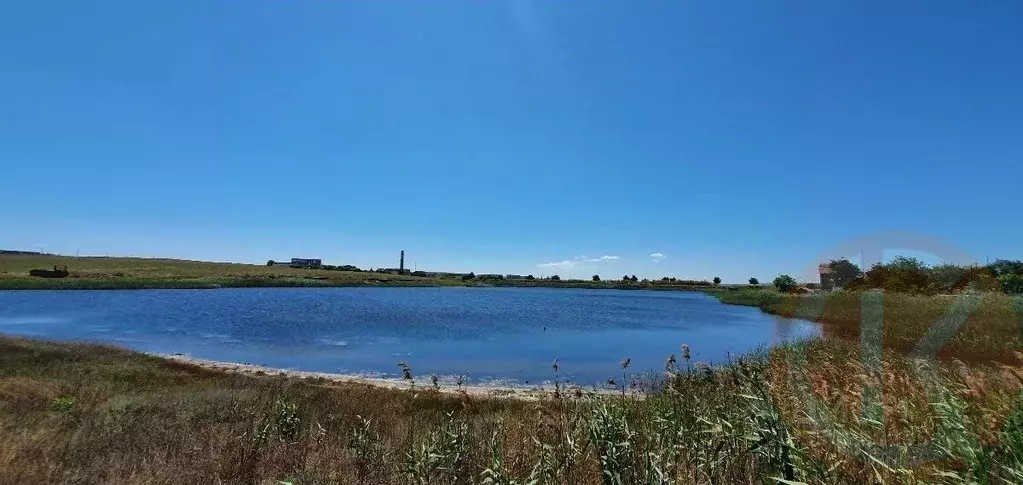 Участок в Крым, Евпатория городской округ, Новоозерное пгт ул. ... - Фото 1