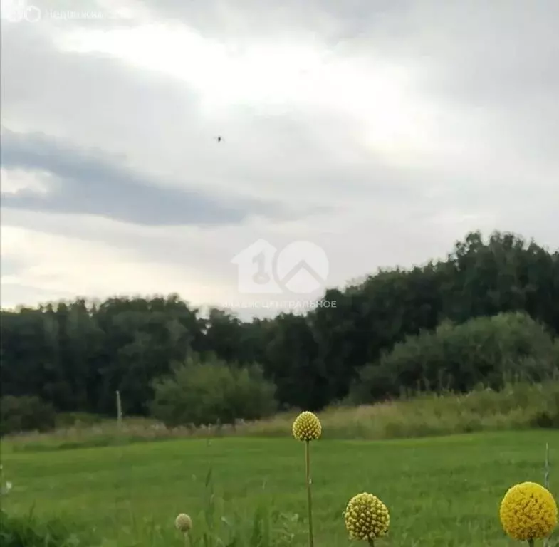 Участок в Ордынский район, Новопичуговский сельсовет (12.46 м) - Фото 0