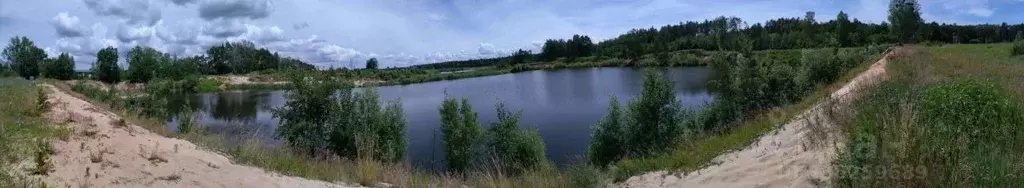 Участок в Калининградская область, Светловский городской округ, пос. ... - Фото 1