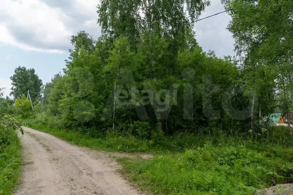 Участок 12 сот. (СНТ, ДНП) - Фото 0