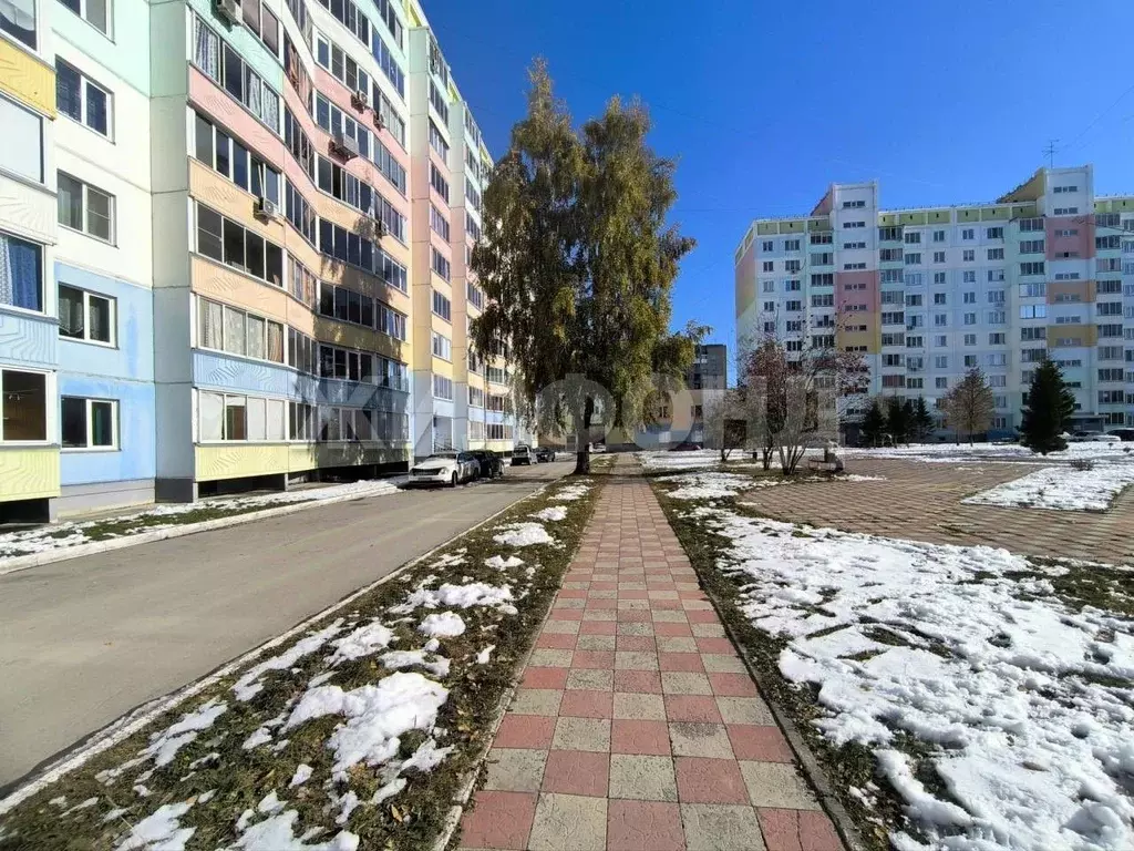 3-к кв. Новосибирская область, Новосибирск ул. Сибиряков-Гвардейцев, ... - Фото 2