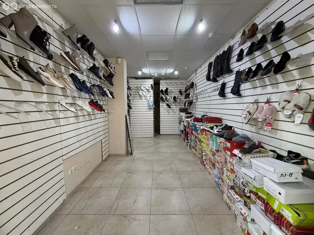 Помещение свободного назначения (19 м) - Фото 1