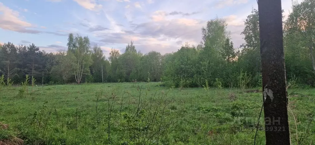Участок в Тверская область, Конаковский муниципальный округ, д. ... - Фото 1