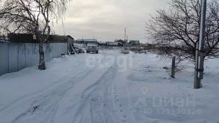 Участок в Тюменская область, Исетский муниципальный округ, с. Шорохово ... - Фото 1