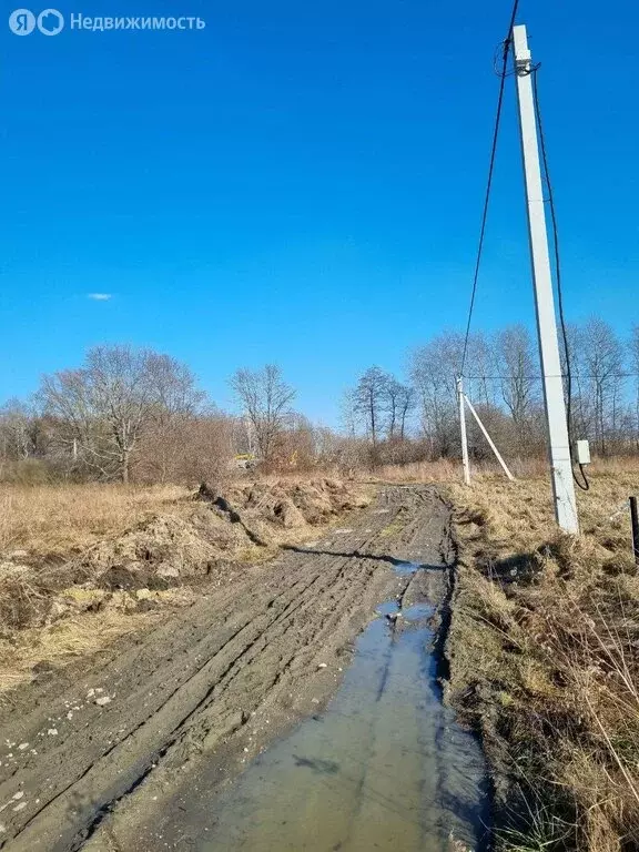 Участок в Калининградская область, Гурьевский муниципальный округ, ТСН ... - Фото 1