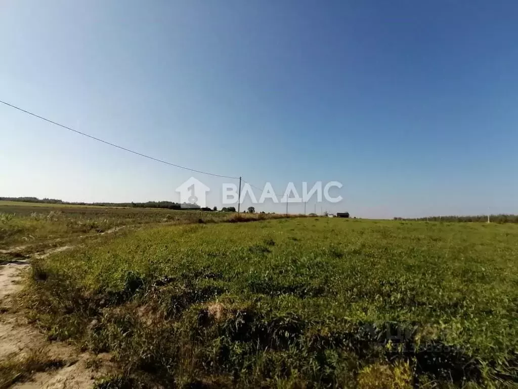Участок в Владимирская область, Судогодский район, Головинское ... - Фото 1