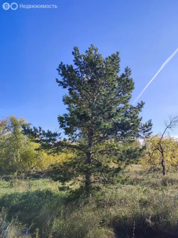 Участок в село Долгодеревенское, Тенистая улица (7.5 м) - Фото 0